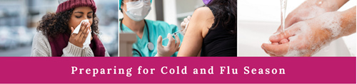 Preparing for Cold and Flu Season Precautions Graphic